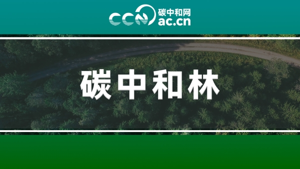 关于印发《福建碳中和林认定及其碳汇计量监测方法（试行）》的通知