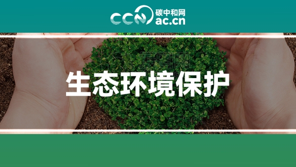 关于印发《深圳市全面加强生态环境保护推动经济高质量发展的若干措施（2024-2027年）》的通知