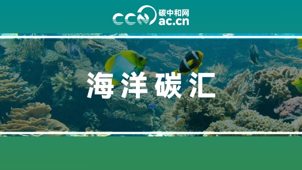 关于印发《浙江省海洋碳汇能力提升指导意见》的通知